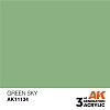 Краска AK11134 General Series - Green Sky – Standard