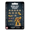 Warhammer 40,000: Imperial Fists Primaris Upgrades & Transfers